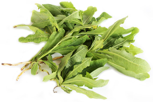 Pimmelkraut