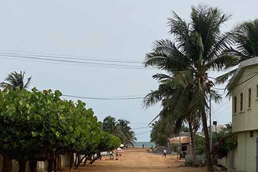 Avenue_Madiba